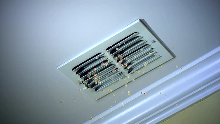 Best Affordable HVAC Duct Cleaning  in Harvey, ND