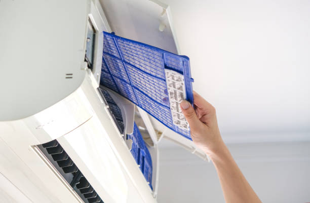 Best Ventilation Cleaning Services  in Harvey, ND