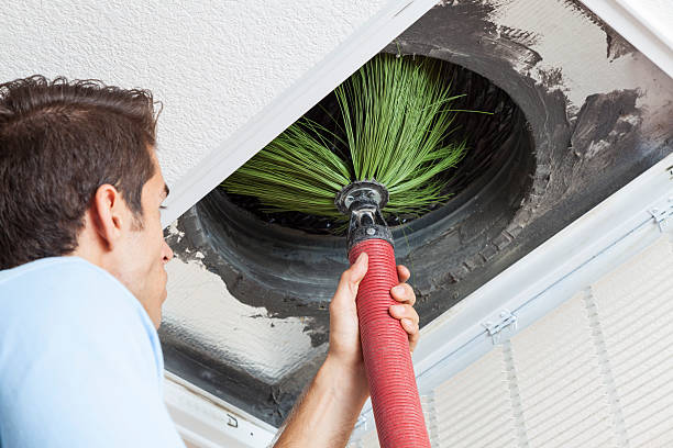 Best Home Air Vent Cleaning  in Harvey, ND