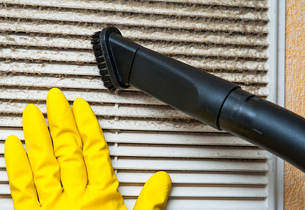 Best Air Duct Cleaning Company Near Me  in Harvey, ND